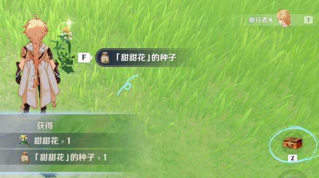 稻妻更新后，这片开放世界大陆又带来了什么？