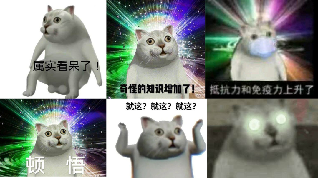 喵星人大军入侵手游，云吸猫的盛宴