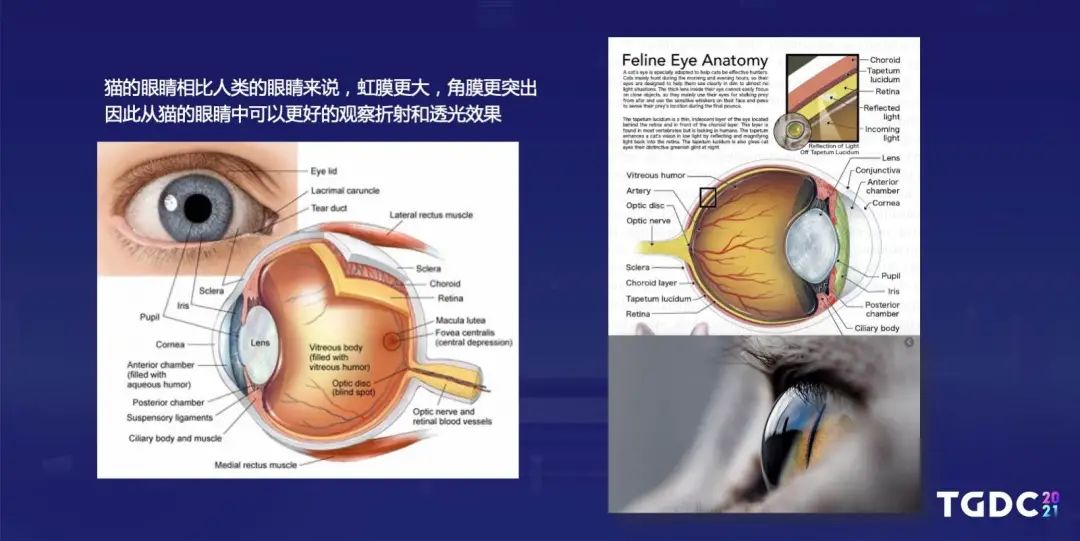腾讯互娱光子工作室群TA Hub专家：如何打磨制作写实的数字人类