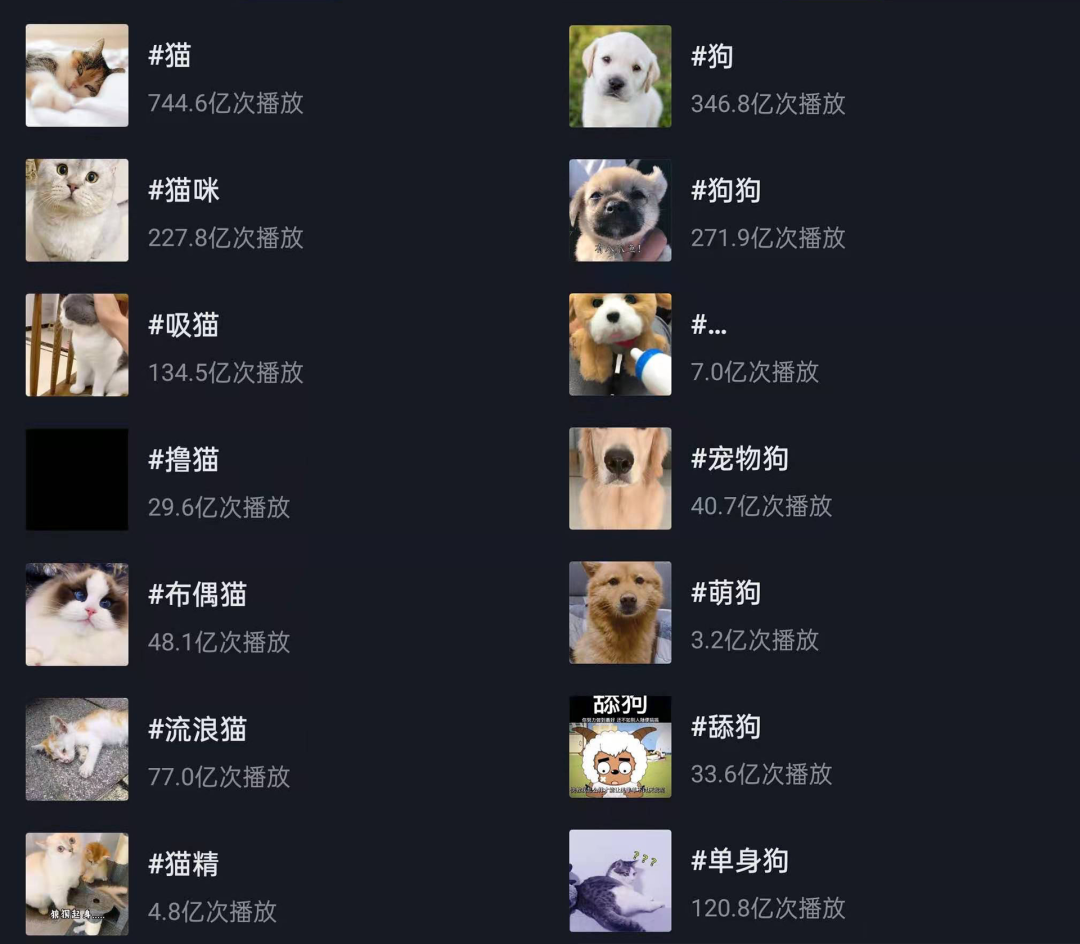 喵星人大军入侵手游，云吸猫的盛宴