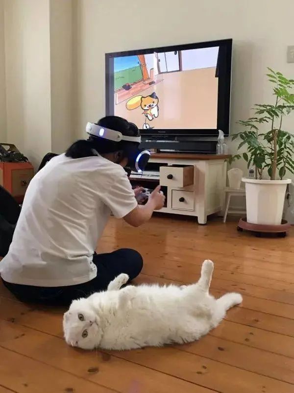 喵星人大军入侵手游，云吸猫的盛宴