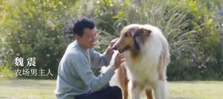 成立四年就上市，如今这家游戏公司却急着要转手？