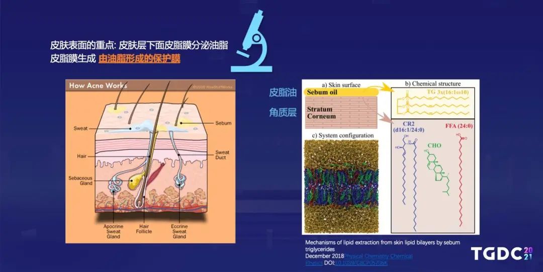 腾讯互娱光子工作室群TA Hub专家：如何打磨制作写实的数字人类