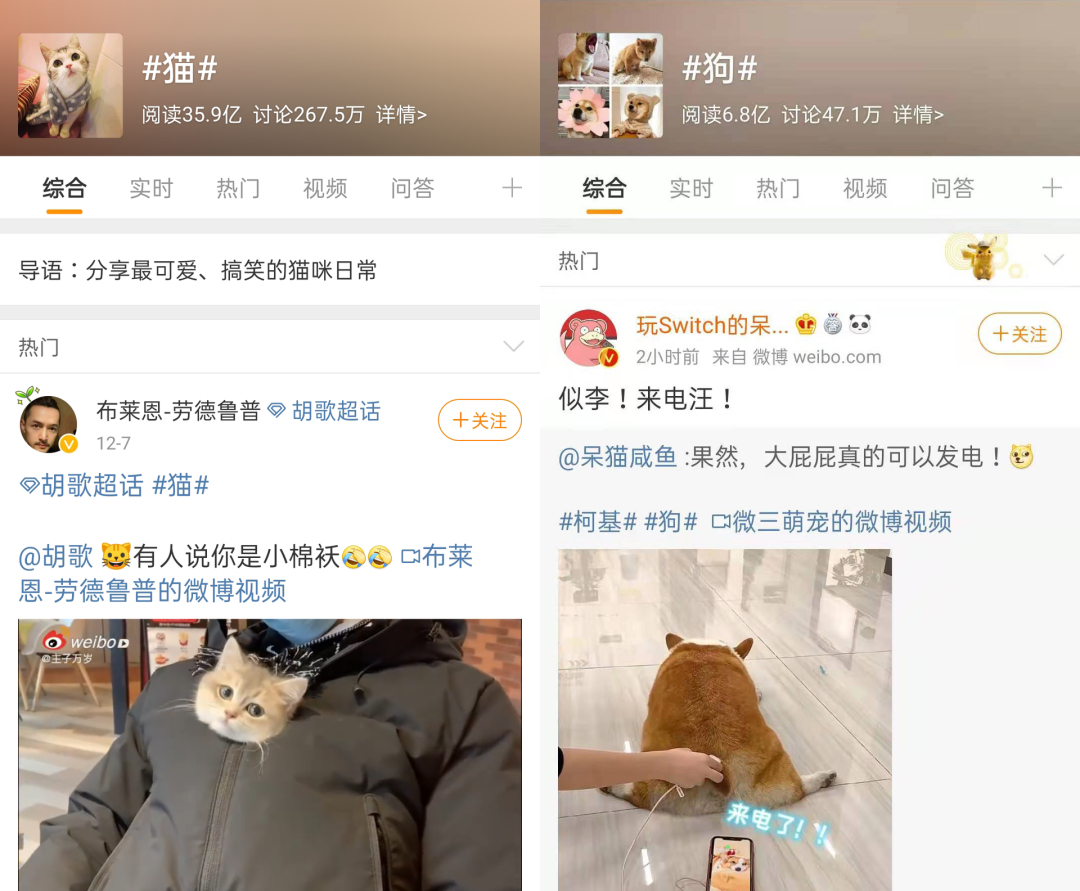 喵星人大军入侵手游，云吸猫的盛宴