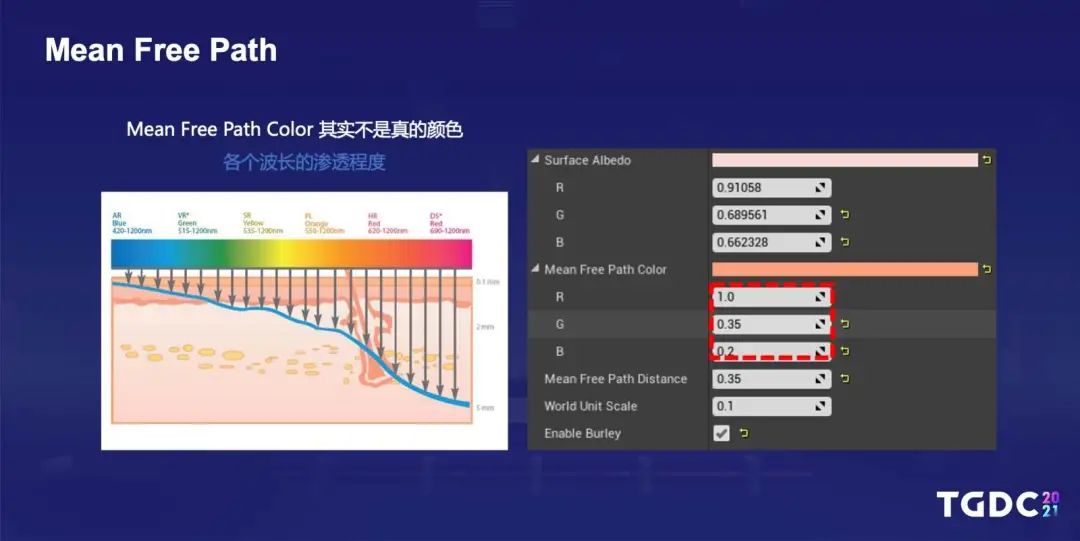 腾讯互娱光子工作室群TA Hub专家：如何打磨制作写实的数字人类