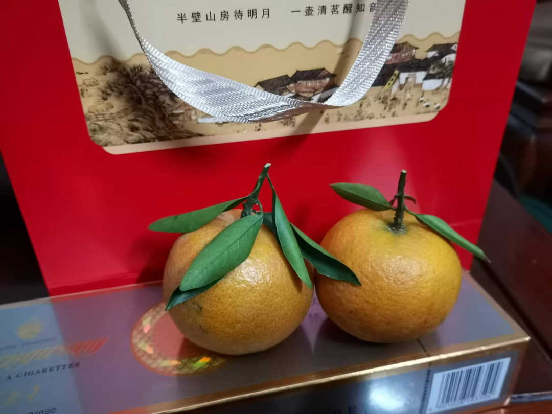 过除夕，能有多少种姿势？