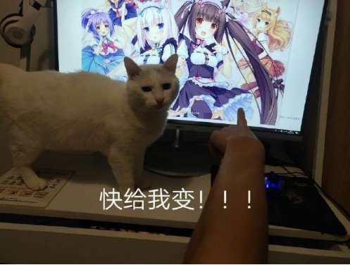 喵星人大军入侵手游，云吸猫的盛宴