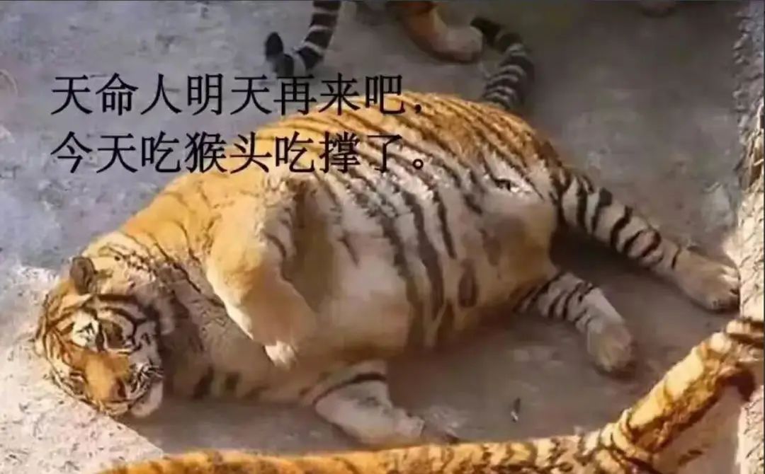 在《黑神话：悟空》试玩会上，我听到了玩家真实的评价
