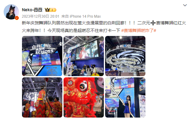 面对二次元游戏，这家单机「宝藏厂商」给出了不太一样的答案