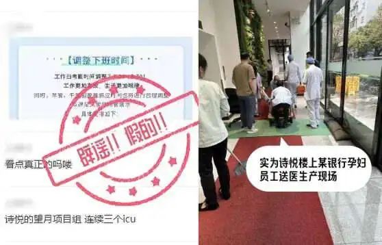 诗悦网络辟谣，「望月项目组连续三个icu」为不实消息